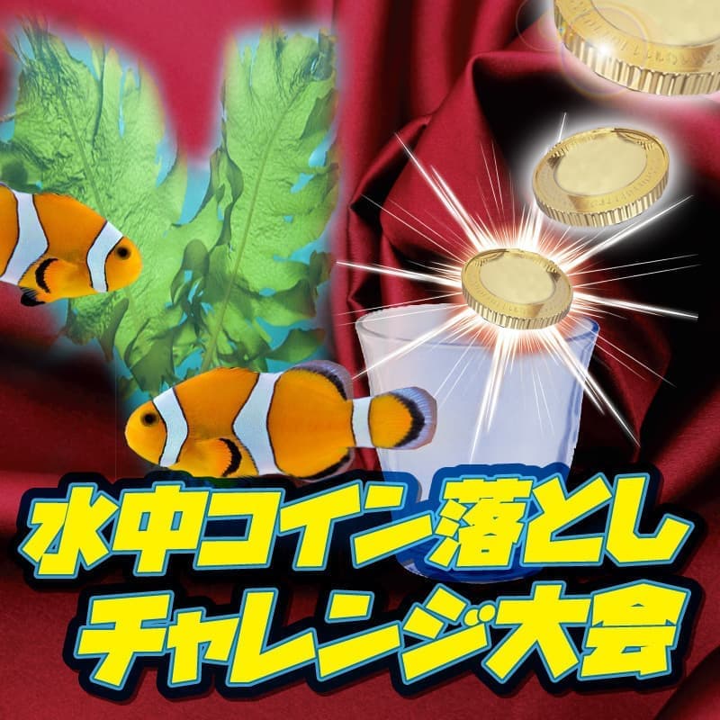 水中コイン落としイベント